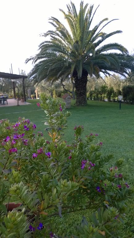 Agriturismo Valbona Villa Castiglione della Pescaia Exteriör bild